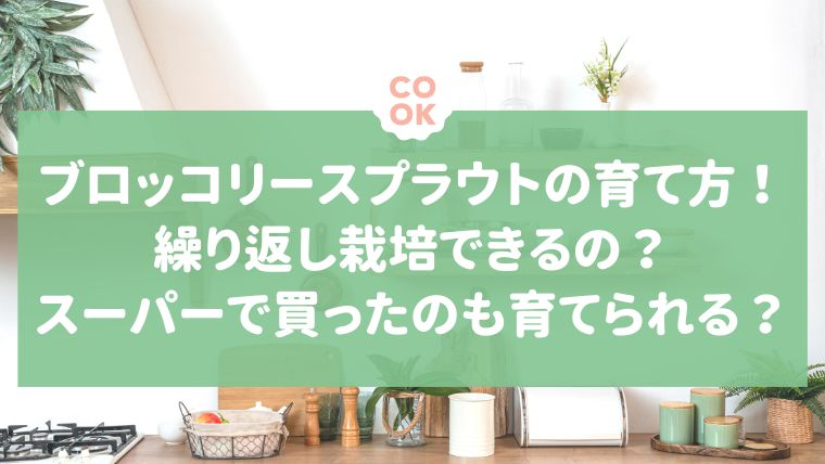 ブロッコリースプラウトの育て方 繰り返し栽培 できる スーパーで買ったのも育てられるの Vivoアラフォー女子の体験談 口コミまとめサイトボーイズリーグdd神奈川