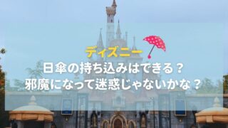 ディズニーでの飲み物はペットボトルを持ち込みするべき 水筒は必要 Vivoアラフォー女子の体験談 口コミまとめサイトボーイズリーグdd神奈川 ディズニーでの飲み物はペットボトルを持ち込みするべき 水筒は必要 Vivoアラフォー女子の体験談 口コミまとめサイトボーイズリーグdd神奈川